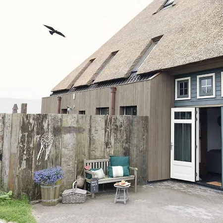 Cozy In Near